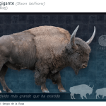 bisonte gigante era de hielo méxico