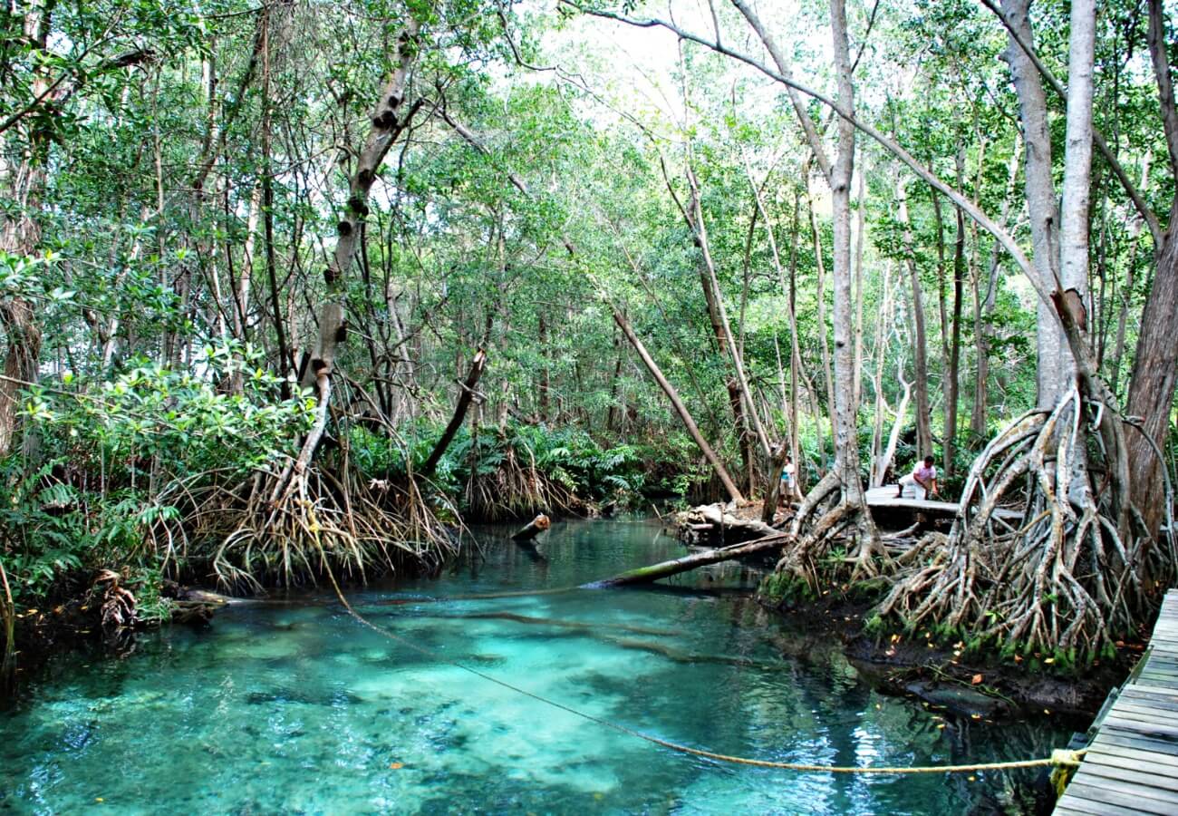 Celestun, humedales de mexico, yucatan