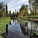 Xochimilco, CDMX, humedales de Mexico