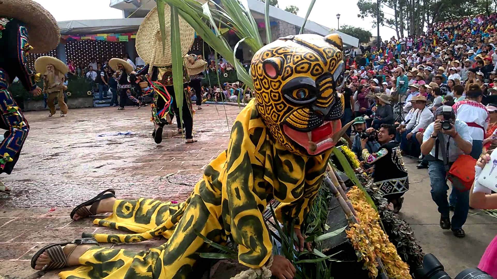 la danza de los tecuanis