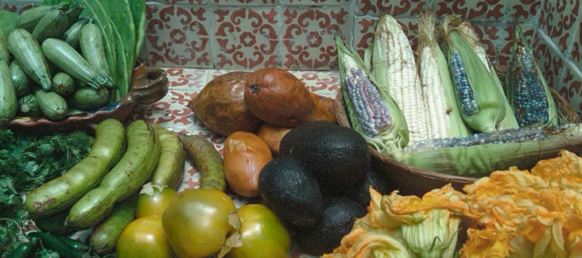 gastronomia prehispanica, recetas prehispanicas, cocina mexicana