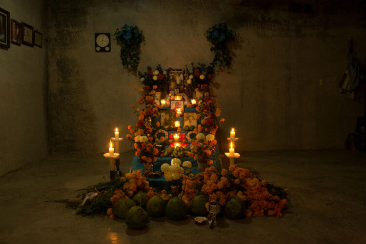 altar xhandu zapotecas dia de muertos celebraciones