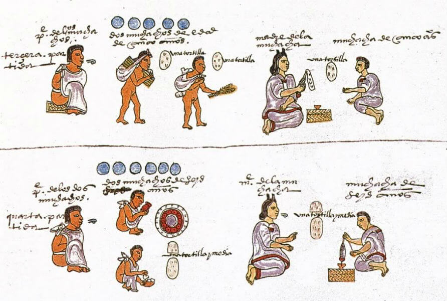 codice mendoza felcidad aztecas mexica