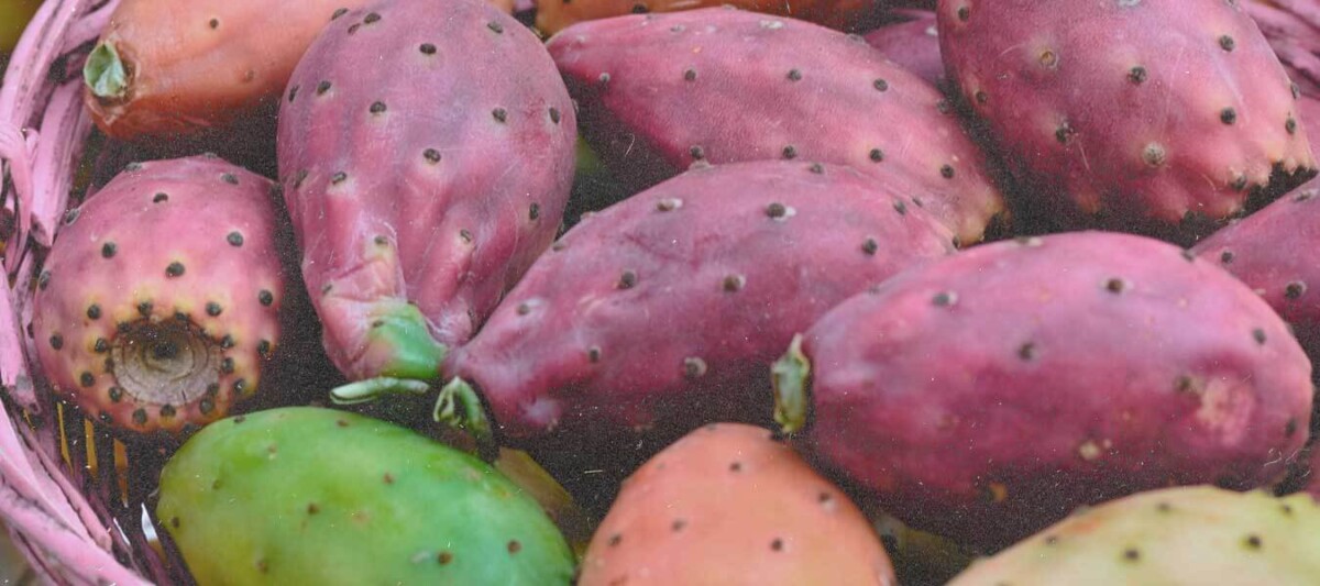 tunas, beneficios nopal, dieta nopal, fruta mexicana