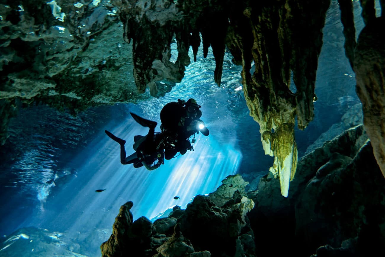 yucatan-cenotes-ecosistema-acuatico-descubren