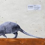 mexico-animales-especies-peligro-extincion-amenazados-mexicanos-endemicos-arte-graffiti-callejero