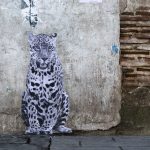 mexico-animales-especies-peligro-extincion-amenazados-mexicanos-endemicos-arte-graffiti-callejero