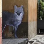 mexico-animales-especies-peligro-extincion-amenazados-mexicanos-endemicos-arte-graffiti-callejero