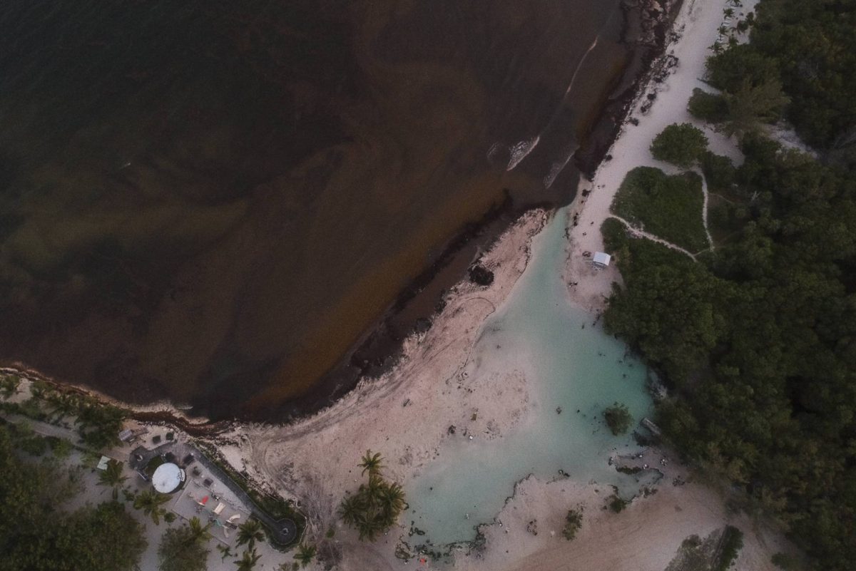 mexico-sargazo-playas-mexicanas-ecologia-casas-ladrillos-organicos-alternativas