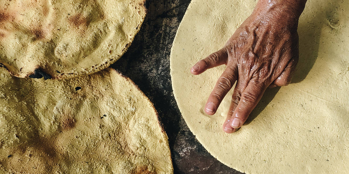 tortilla-mexicana-ong-maiz-nativo-transgenico-defensa-firma-peticion