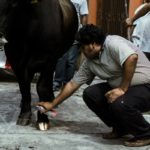 mexico-independencia-grito-fiestas-patrias-tradiciones-senorita-libertad-veracruz