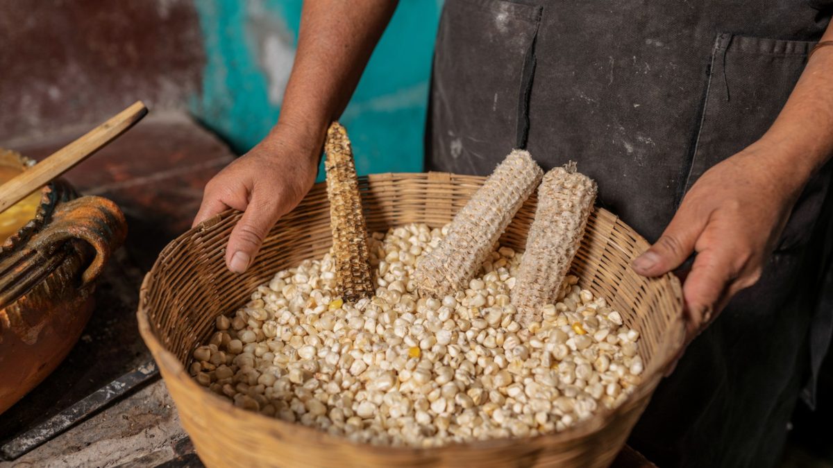 nixtamal-tortillas-nixtamalizadas-como-hacer-receta