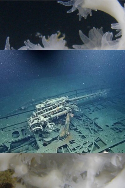 submarino-nazi-mexico-hundido-golfo-historia